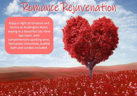 Auldington Hotel - Yarra Valley Accommodation 6