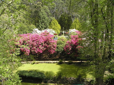 Auldington Hotel - Yarra Valley Accommodation 23