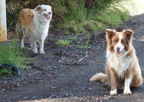 Karoola Cottage Self Contained - Yarra Valley Accommodation 14