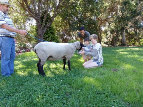 Karoola Cottage Self Contained - Yarra Valley Accommodation 23