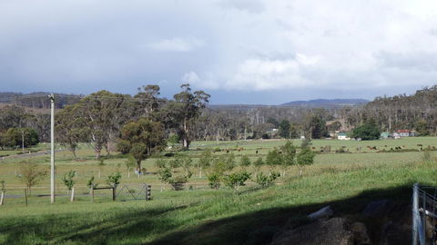 Karoola Cottage Self Contained - Yarra Valley Accommodation 11