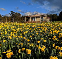 Mountain Blue Guest House - Yarra Valley Accommodation