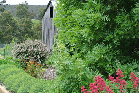 Hamlet Downs Country Accommodation - Yarra Valley Accommodation 19