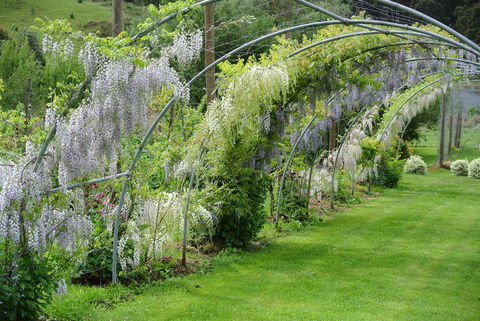 Hamlet Downs Country Accommodation - Yarra Valley Accommodation 17