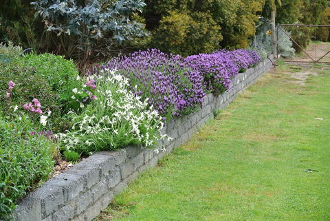 Hamlet Downs Country Accommodation - Yarra Valley Accommodation 14