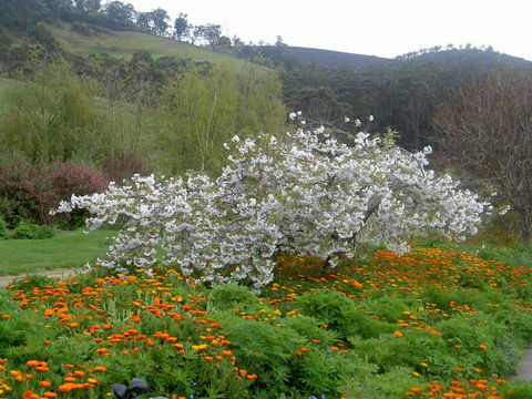 Hamlet Downs Country Accommodation - Yarra Valley Accommodation 13