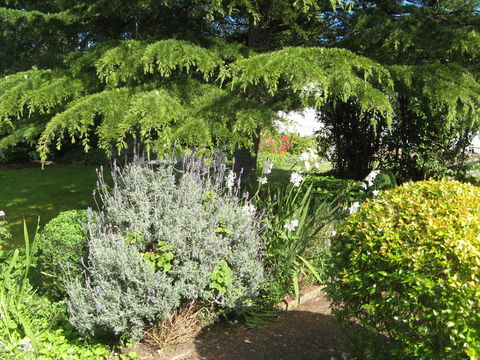 The Grove Cottages - Yarra Valley Accommodation 12