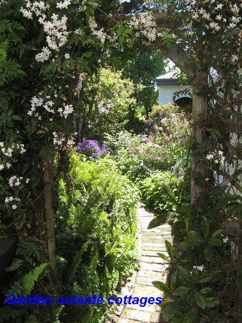 The Grove Cottages - Yarra Valley Accommodation 3
