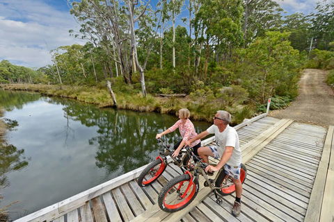 Saintys Creek Cottage - Yarra Valley Accommodation 2