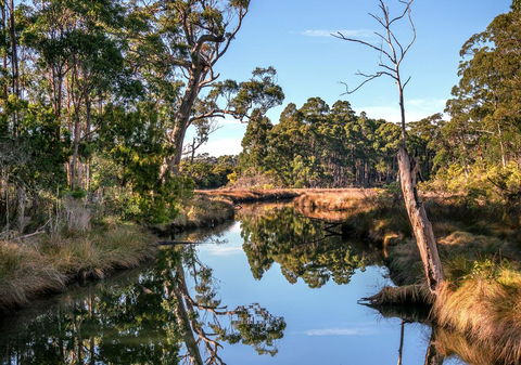 Saintys Creek Cottage - Yarra Valley Accommodation 3
