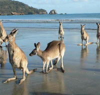 Seaforth Holiday Units - Yarra Valley Accommodation