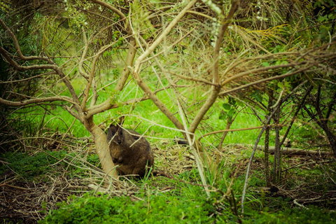 The Hobart Entrance - Yarra Valley Accommodation 32