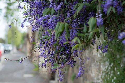 The Hobart Entrance - Yarra Valley Accommodation 40