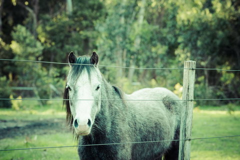 The Hobart Entrance - Yarra Valley Accommodation 31