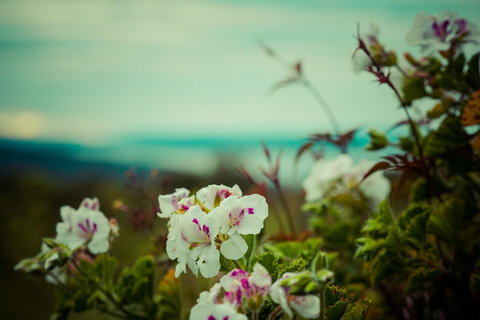 The Hobart Entrance - Yarra Valley Accommodation 38