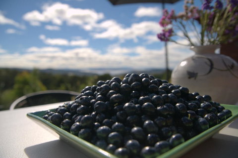 The Hobart Entrance - Yarra Valley Accommodation 36