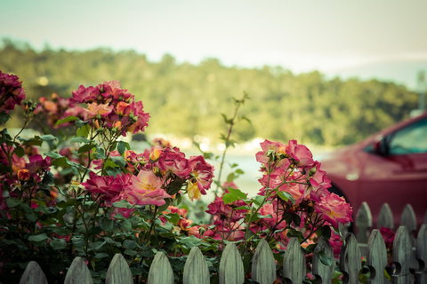 The Hobart Entrance - Yarra Valley Accommodation 33