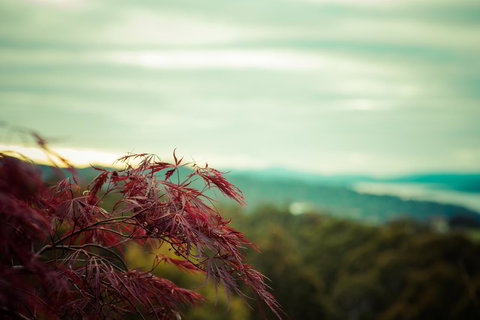 The Hobart Entrance - Yarra Valley Accommodation 34