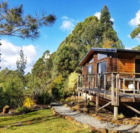 Southern Forest Accommodation - Yarra Valley Accommodation