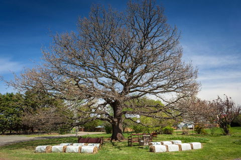 Ratho Farm - Yarra Valley Accommodation 8
