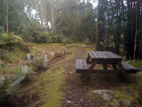 Sassafras Springs - Yarra Valley Accommodation 9