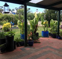 Blue Wren Bungalow - Yarra Valley Accommodation