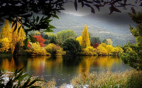 Platypus Playground Riverside Cottage - Yarra Valley Accommodation 15