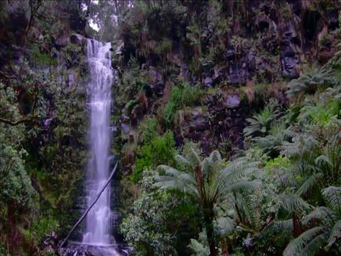 Great Ocean Road Resort - Yarra Valley Accommodation 16