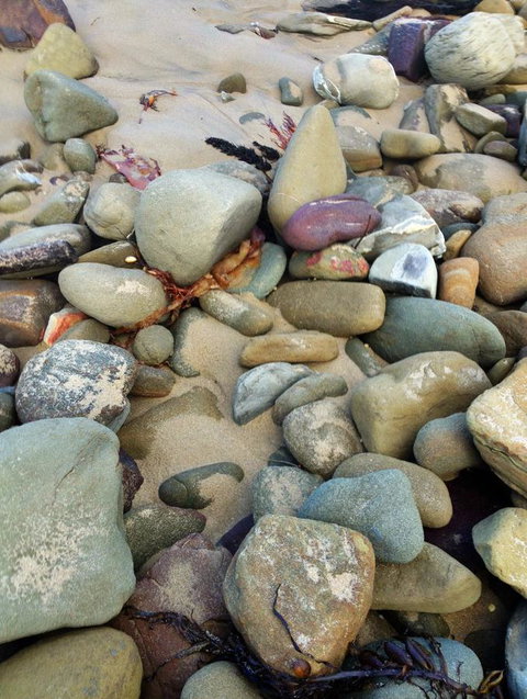 Lorne Surf Apartments - Yarra Valley Accommodation 15