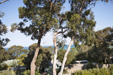 Lorne Surf Apartments - Yarra Valley Accommodation 6