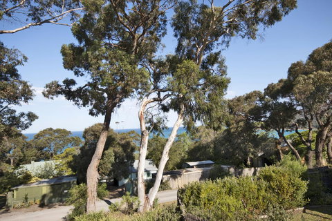 Lorne Surf Apartments - Yarra Valley Accommodation 11