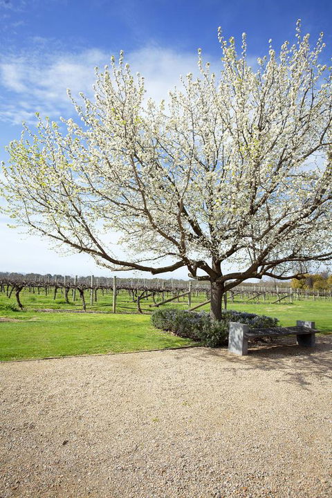 Lancemore Milawa - Yarra Valley Accommodation 12
