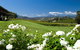 Balgownie Estate Yarra Valley - thumb 36