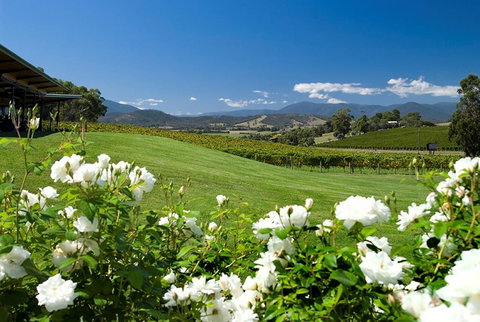 Balgownie Estate Yarra Valley - Yarra Valley Accommodation 36