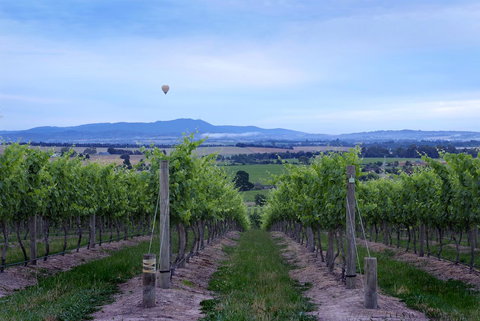 Balgownie Estate Yarra Valley - Yarra Valley Accommodation 37