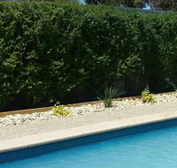 Robinvale Bridge Motel - Yarra Valley Accommodation