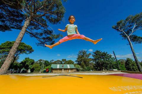 BIG4 Castlemaine Gardens - Yarra Valley Accommodation 21