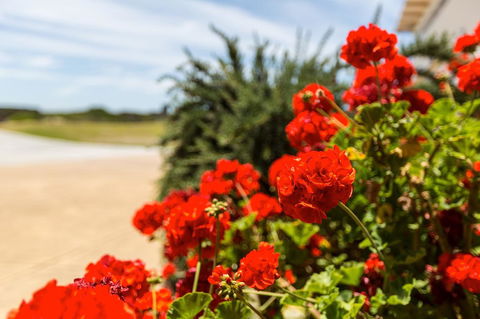 Cottages For Couples - Yarra Valley Accommodation 13