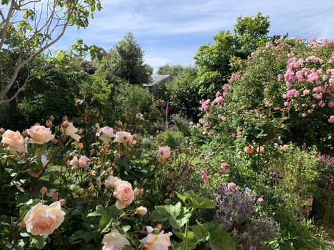 The Racecourse Inn - Yarra Valley Accommodation 2