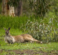 The Stirling Golf Club - Yarra Valley Accommodation
