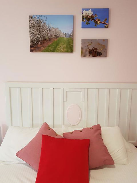 Town House Motor Inn Young - Yarra Valley Accommodation 1