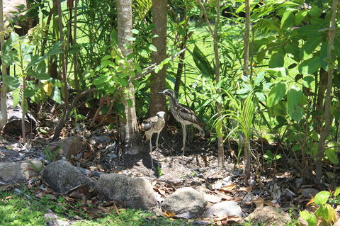 Amaroo On Mandalay, Magnetic Island - Yarra Valley Accommodation 40
