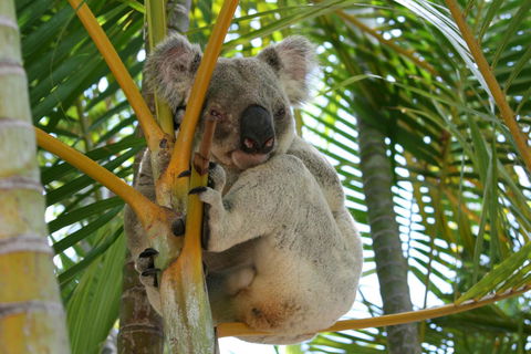 Amaroo On Mandalay, Magnetic Island - Yarra Valley Accommodation 44