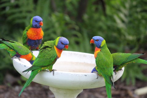 Amaroo On Mandalay, Magnetic Island - Yarra Valley Accommodation 27