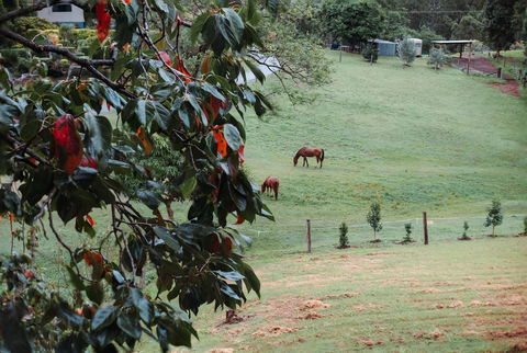 La Casita Banca - Luxury Holiday Home - Yarra Valley Accommodation 3