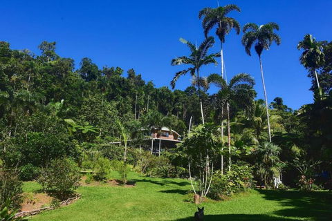 A Daintree Garden - Yarra Valley Accommodation 0