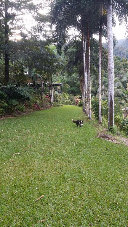 A Daintree Garden - Yarra Valley Accommodation 1