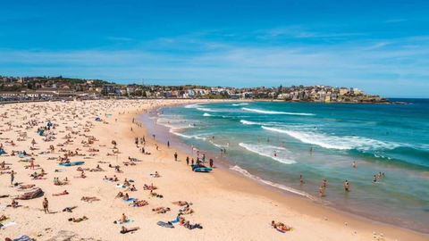 A Lovely Beach Studio 5min Walk To Bondi Beach - Yarra Valley Accommodation 2