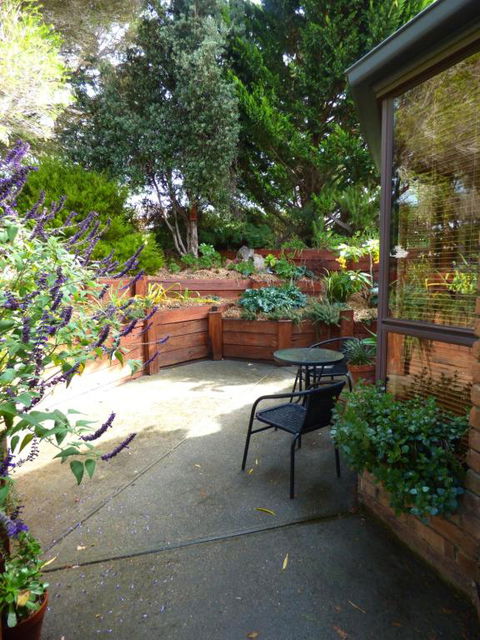 A Suite Spot In The Hills - Yarra Valley Accommodation 4