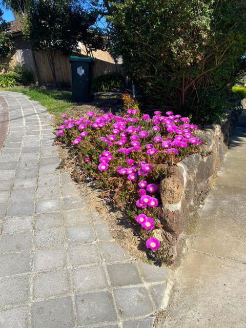 ADA Homestay - Yarra Valley Accommodation 3